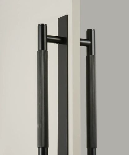 ELAN Solid Brass Door Pull Handle With Back Plate