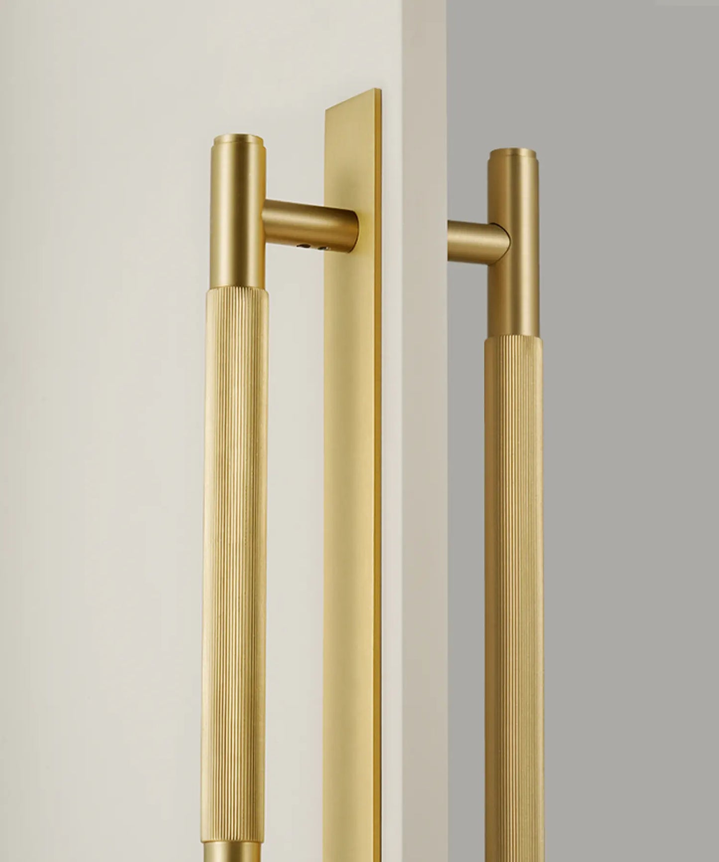 ELAN Solid Brass Door Pull Handle With Back Plate