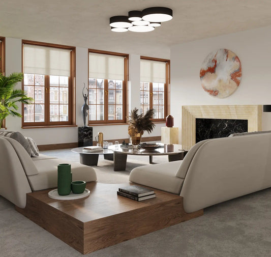 ARENA Ceiling Light