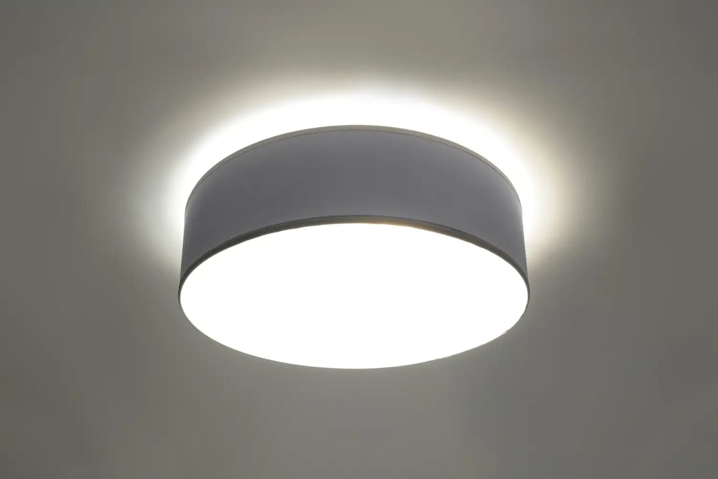 ARENA Ceiling Light