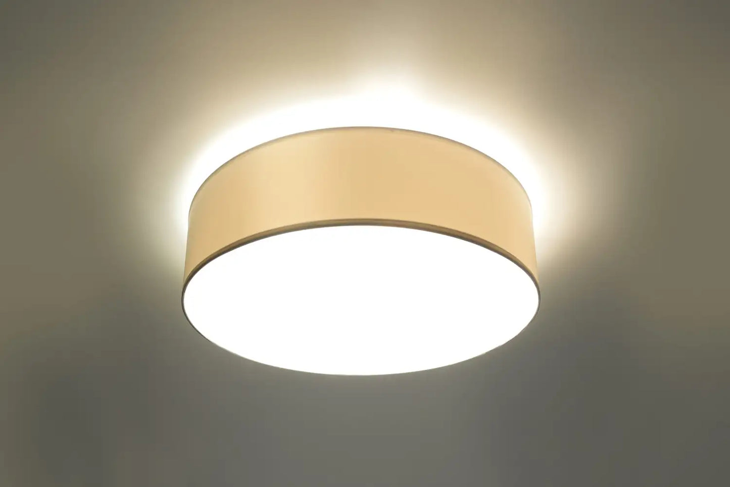 ARENA Ceiling Light