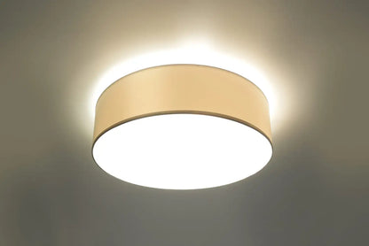 ARENA Ceiling Light