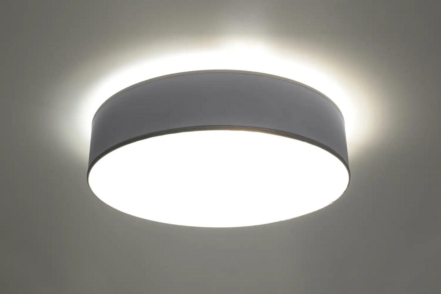 ARENA Ceiling Light