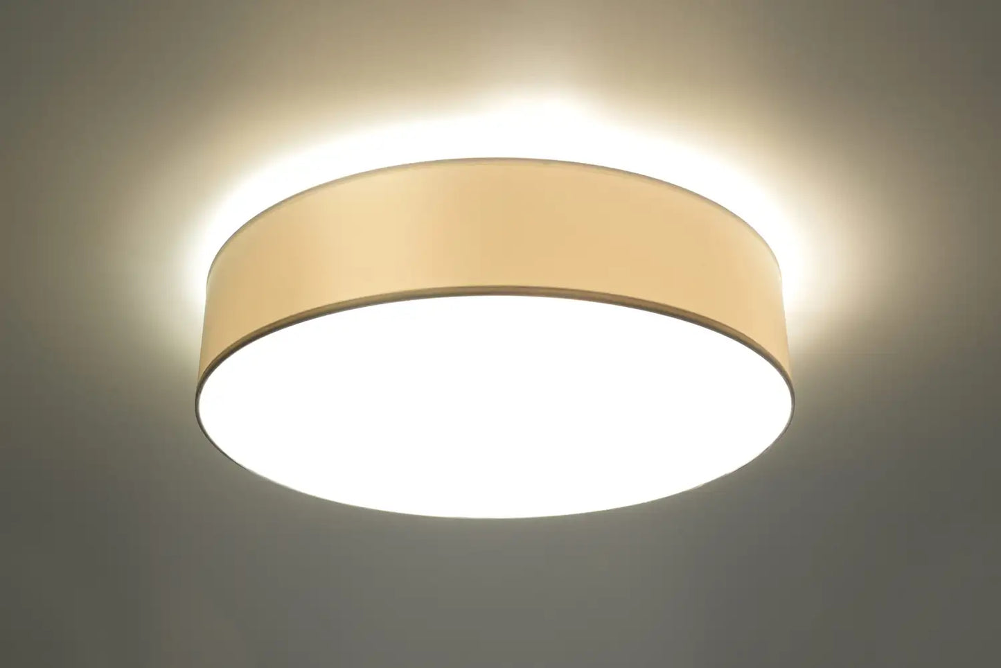 ARENA Ceiling Light