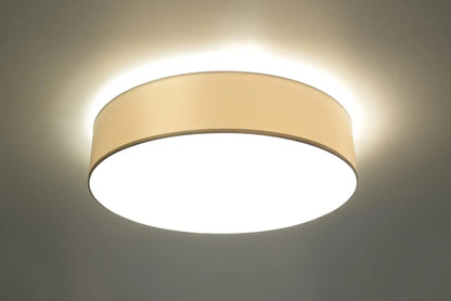 ARENA Ceiling Light