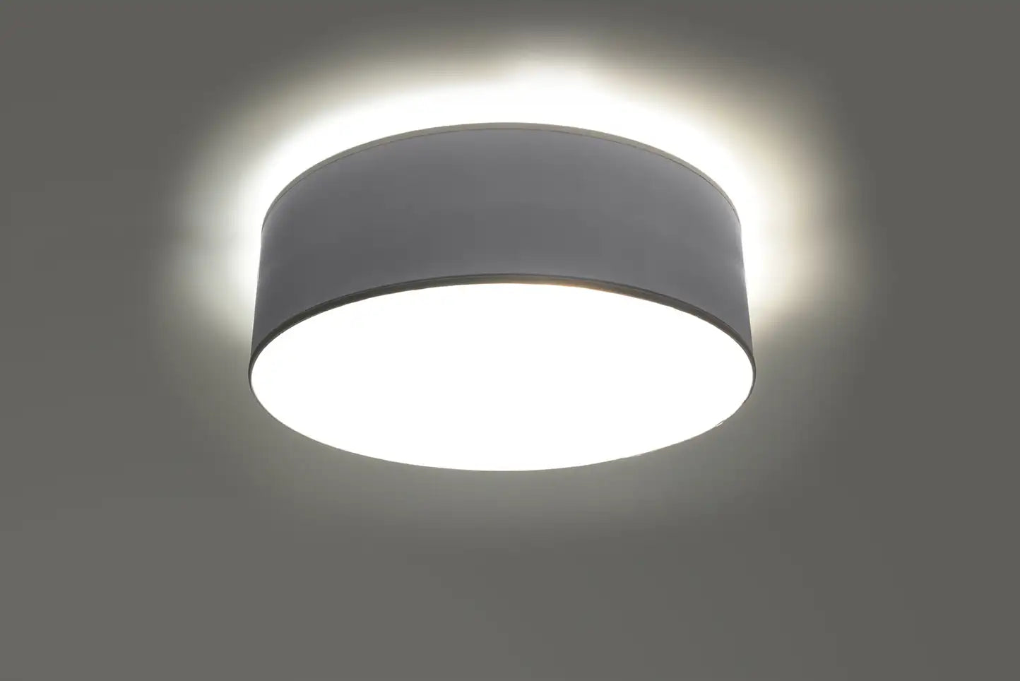 ARENA Ceiling Light
