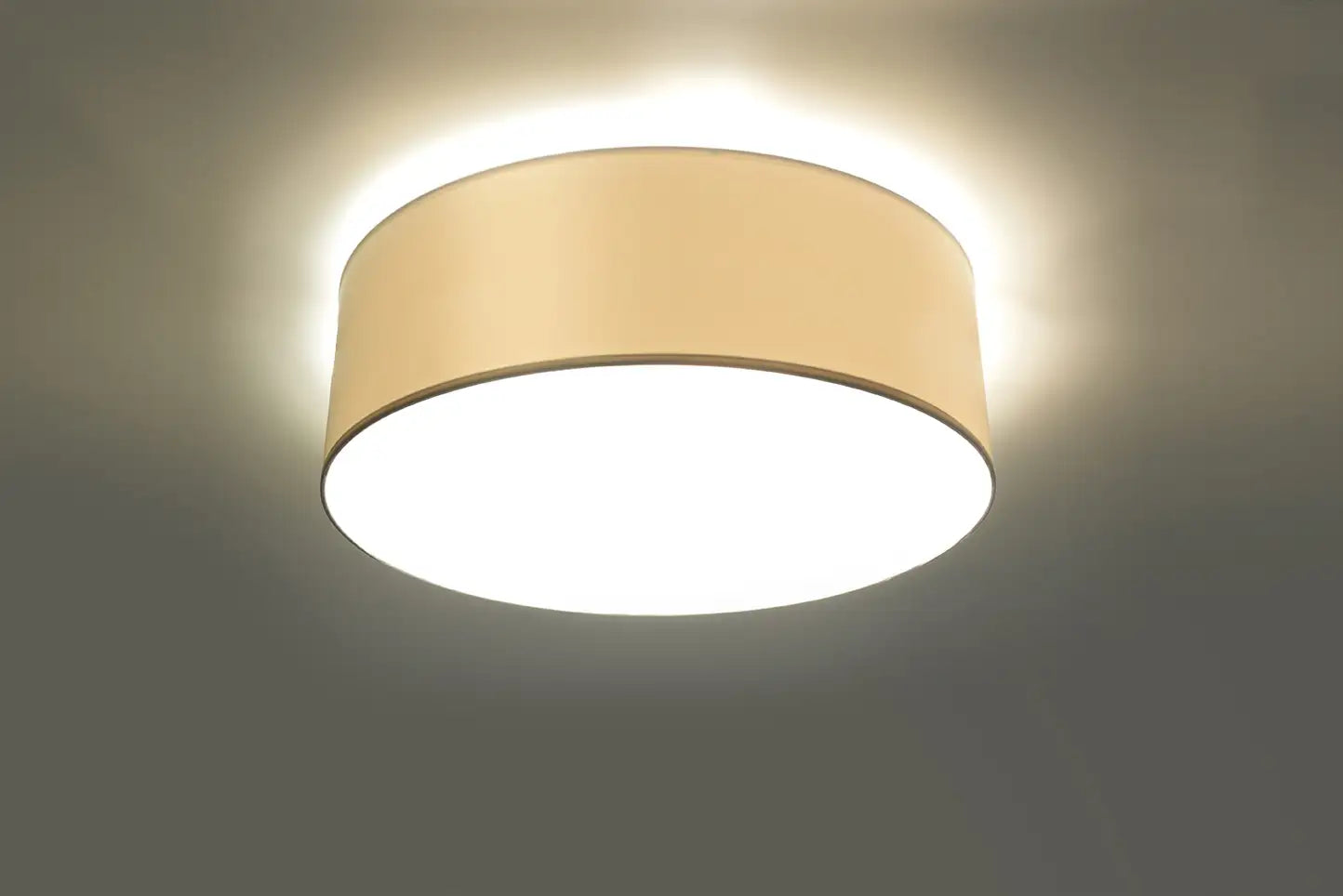 ARENA Ceiling Light