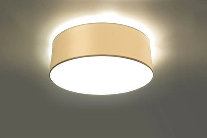 ARENA Ceiling Light