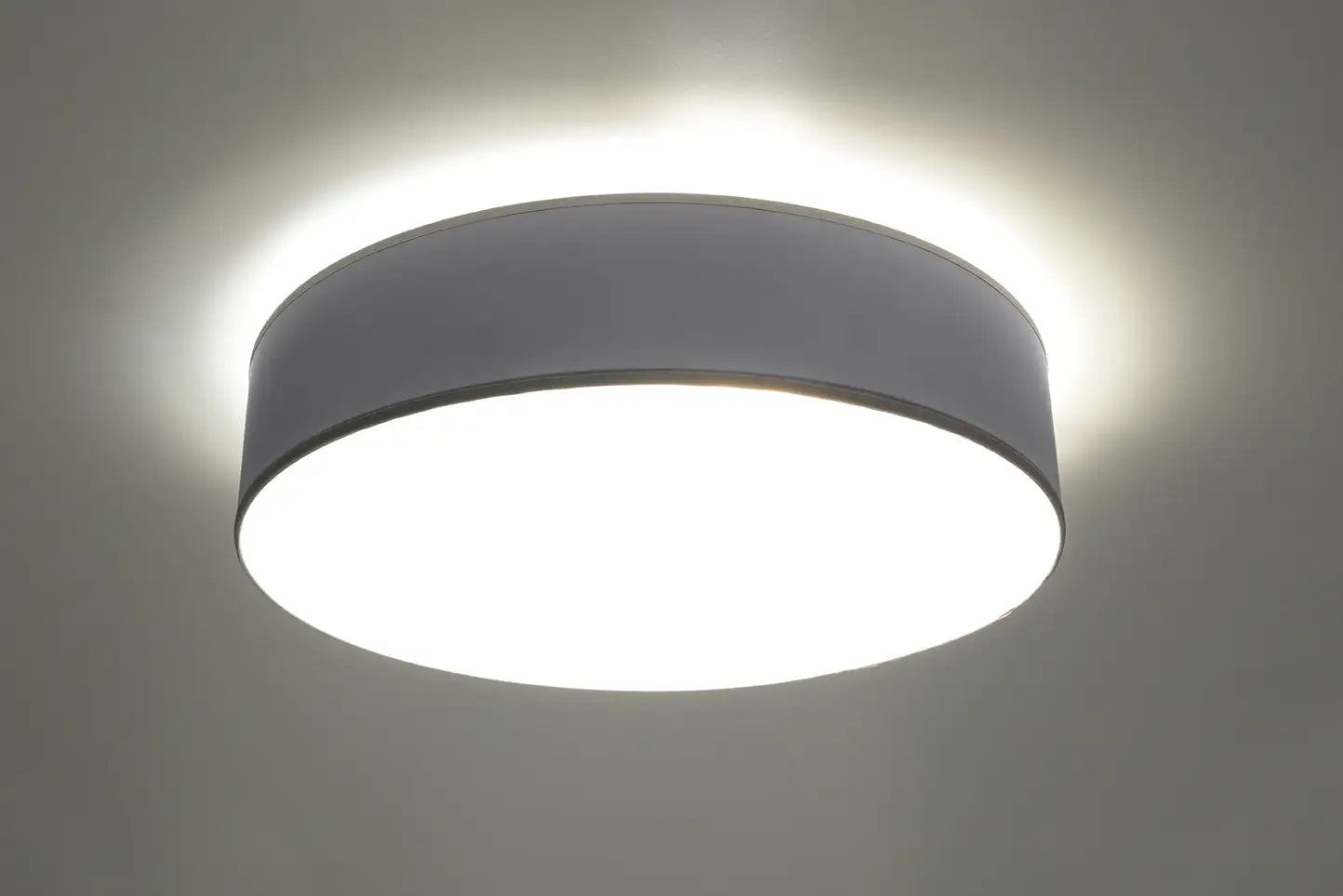 ARENA Ceiling Light