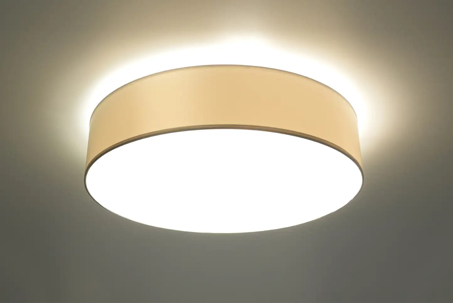 ARENA Ceiling Light