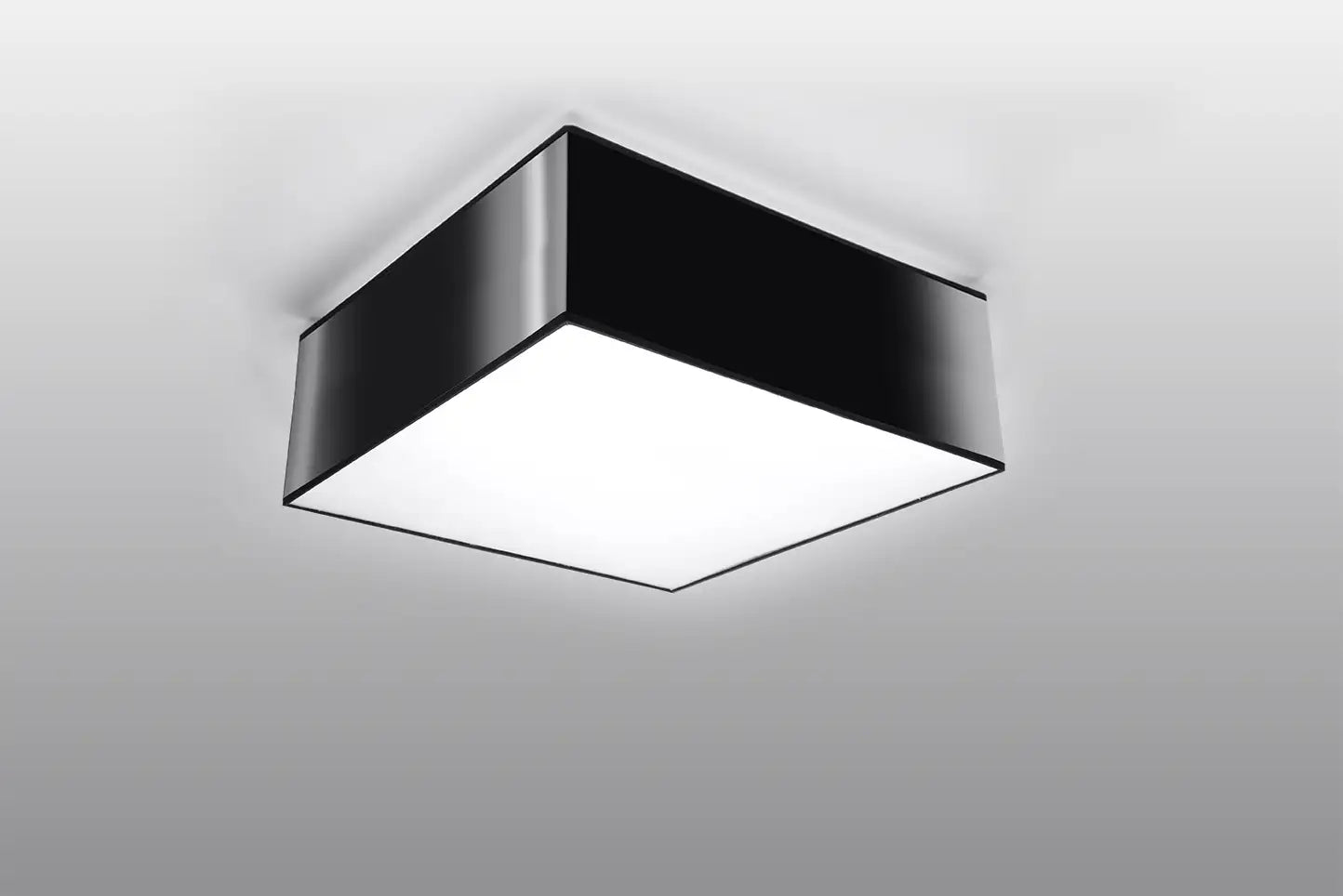 HORUS Ceiling Light