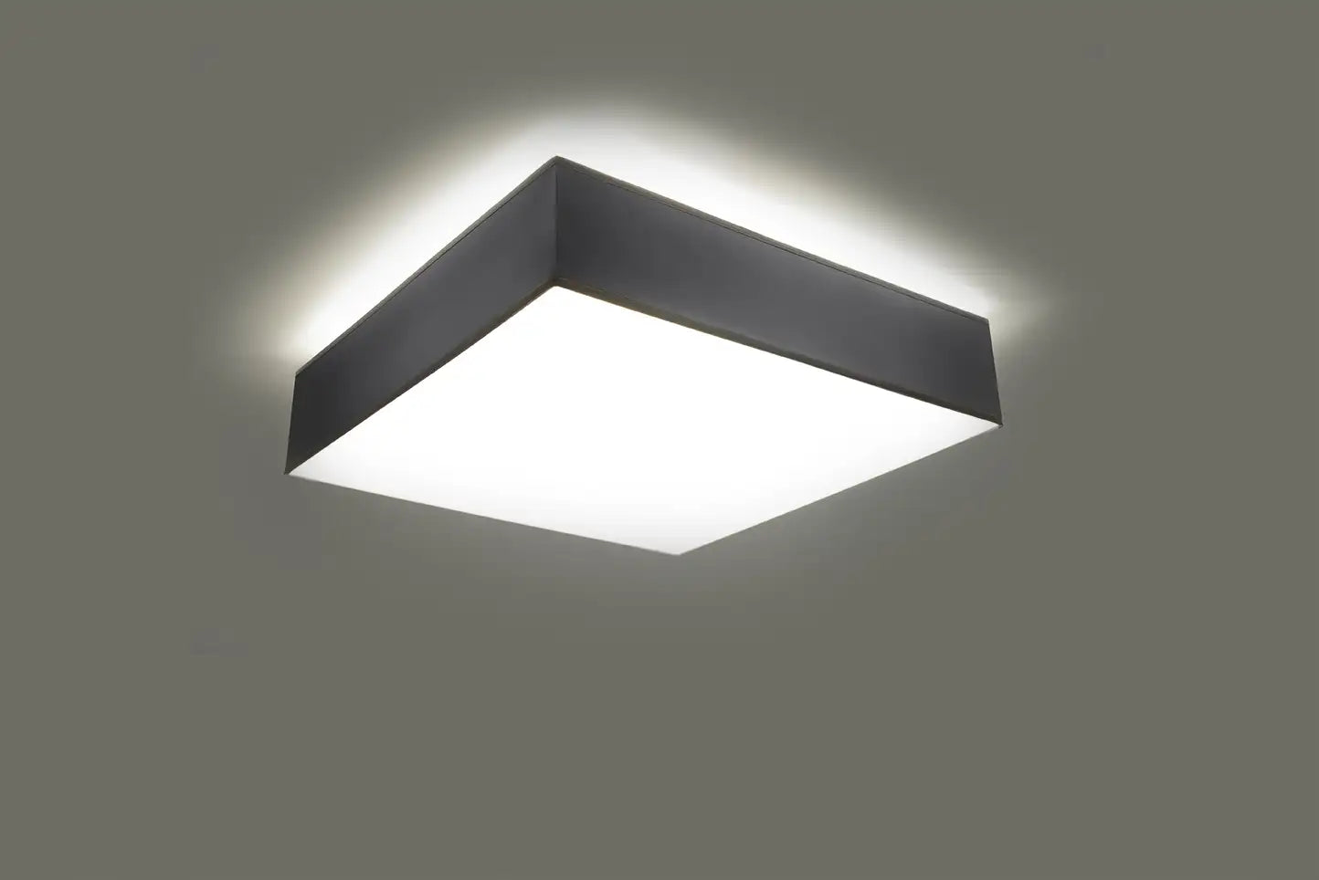 HORUS Ceiling Light