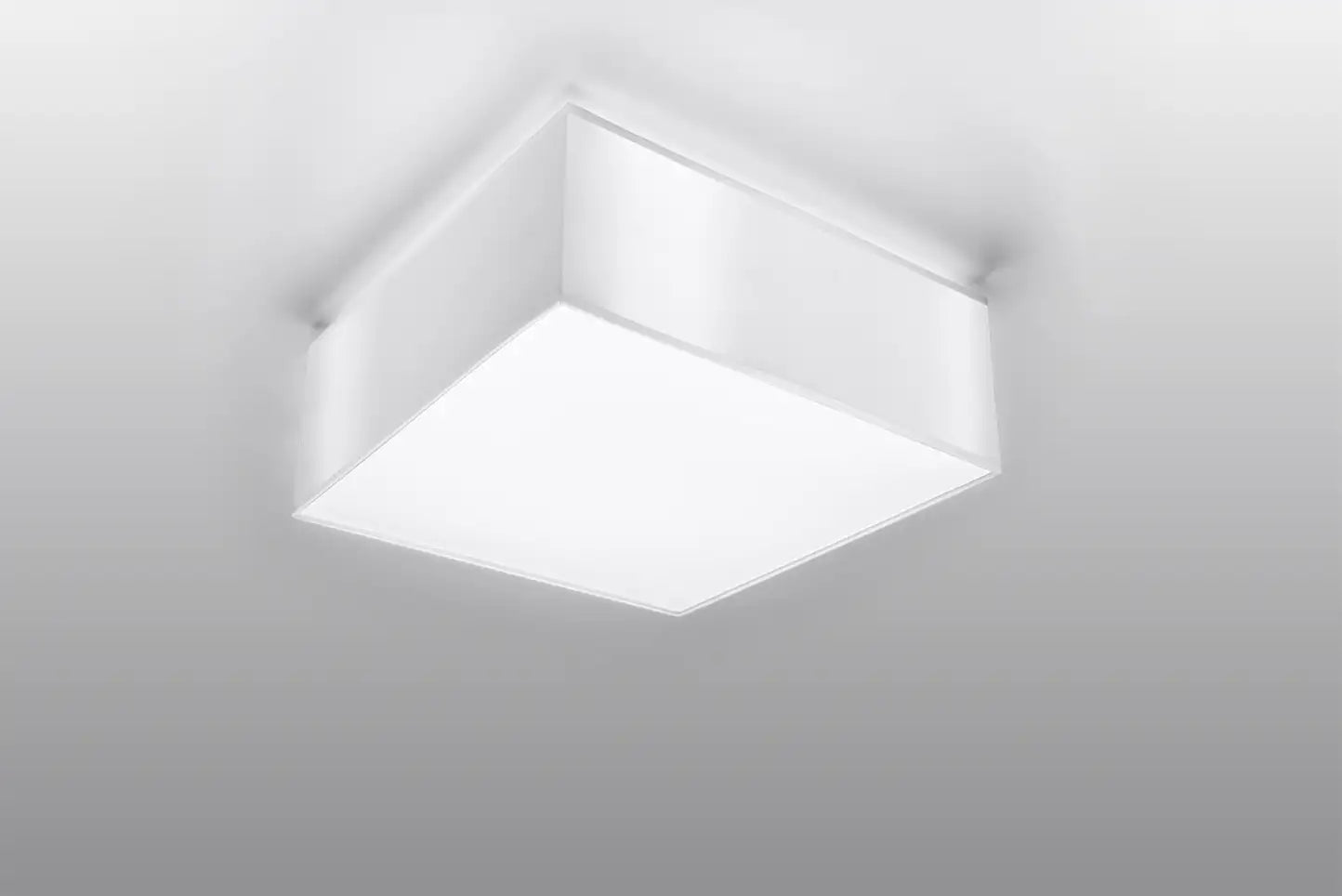 HORUS Ceiling Light