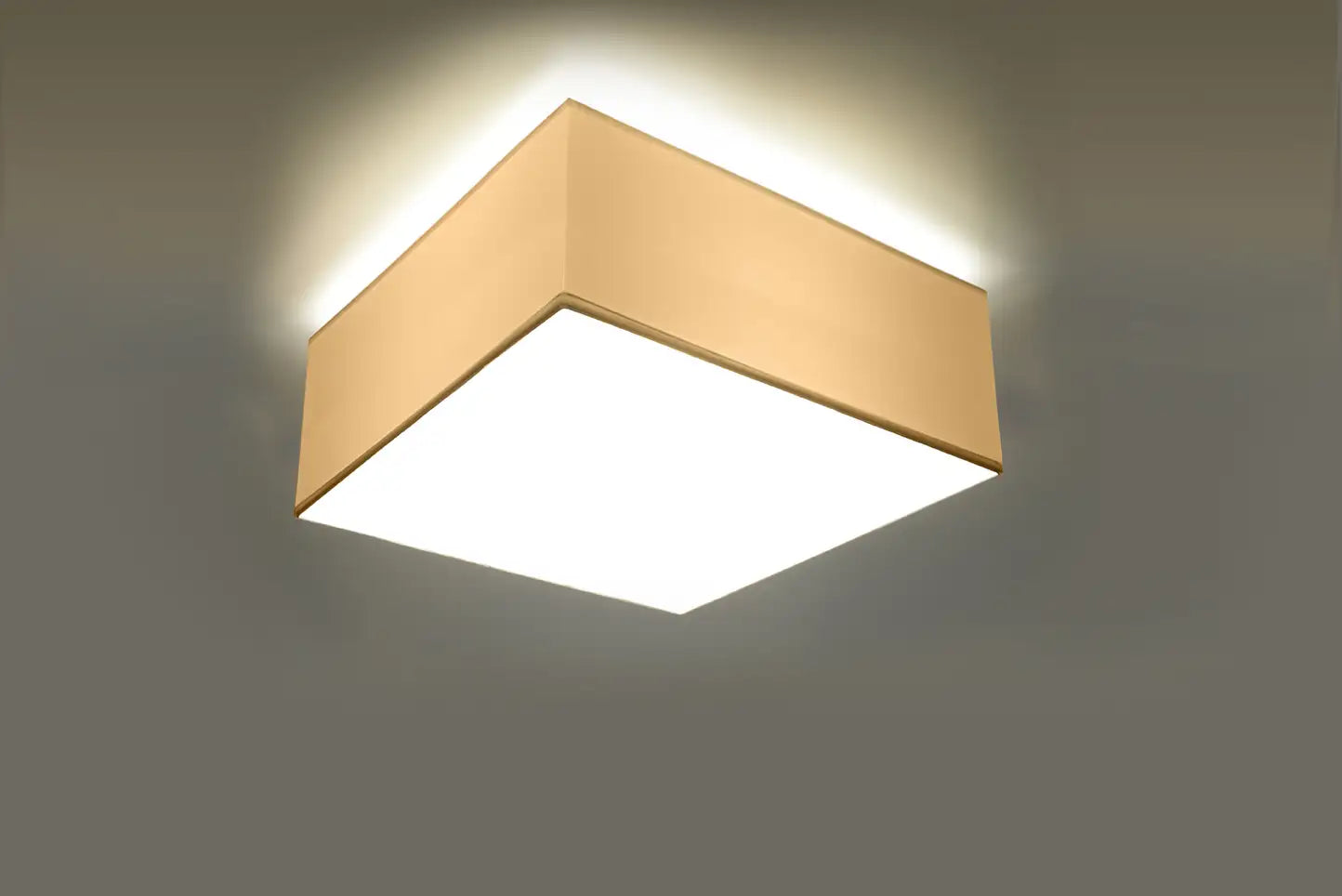 HORUS Ceiling Light