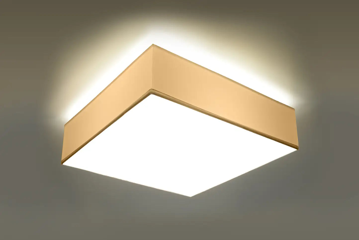 HORUS Ceiling Light