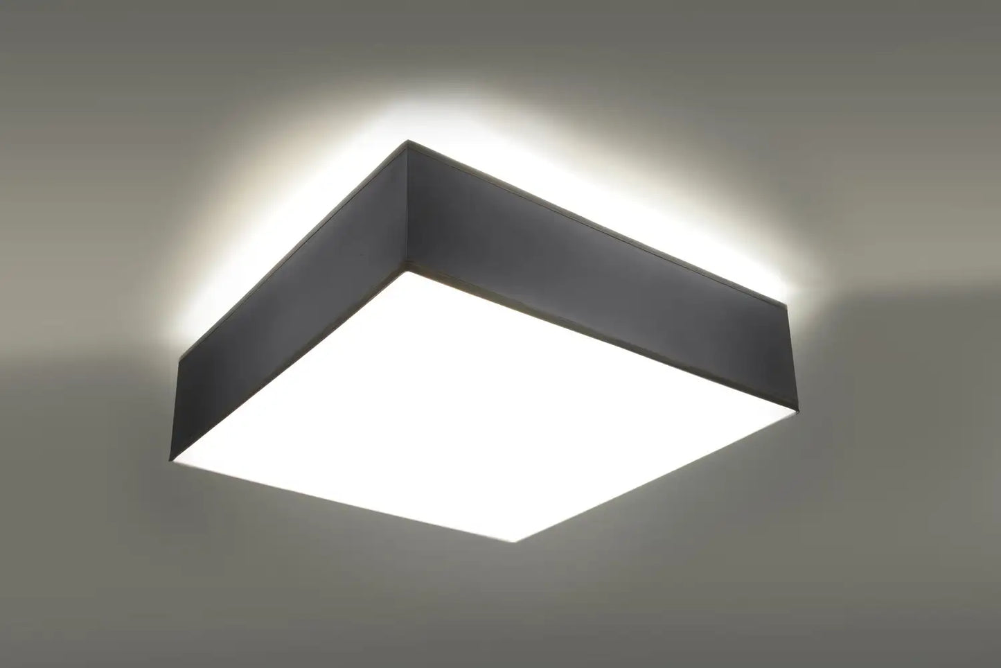 HORUS Ceiling Light