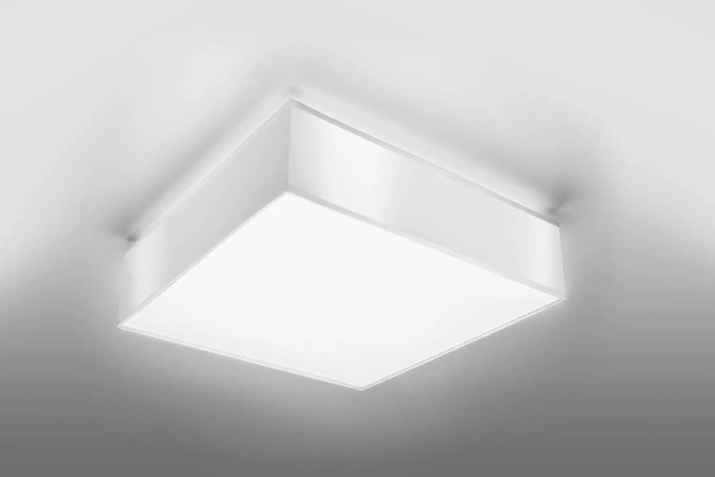 HORUS Ceiling Light