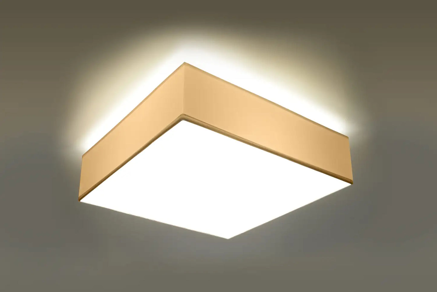 HORUS Ceiling Light