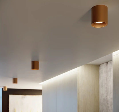 ORBIS Ceiling Light