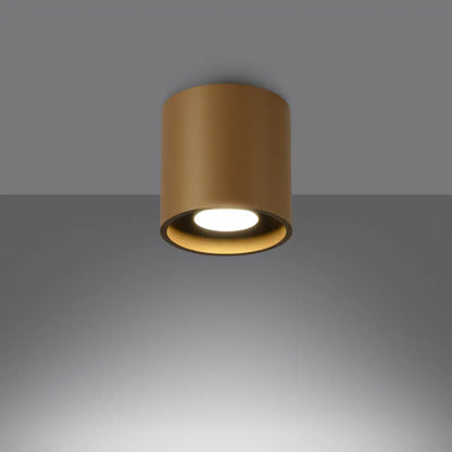 ORBIS Ceiling Light