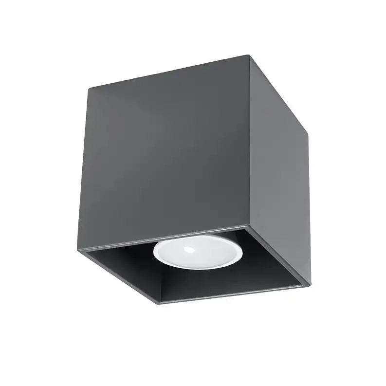 QUAD Anthracite Ceiling Light