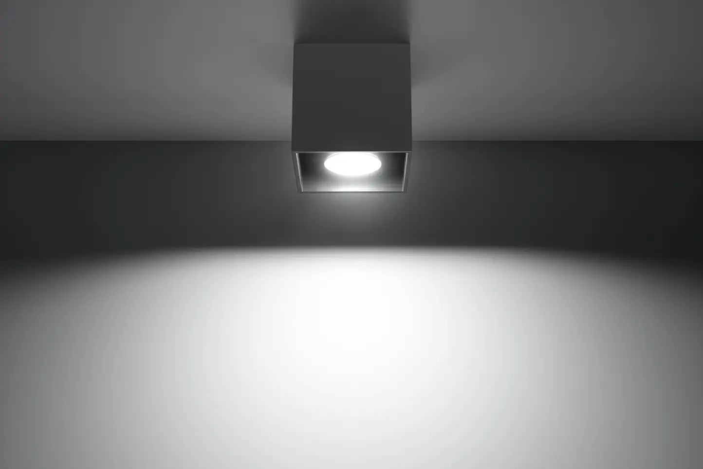QUAD Anthracite Ceiling Light