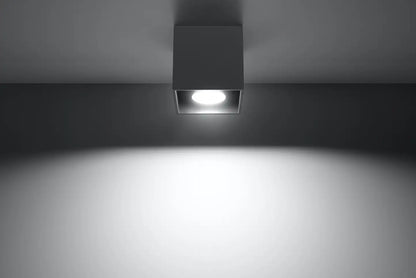 QUAD Anthracite Ceiling Light