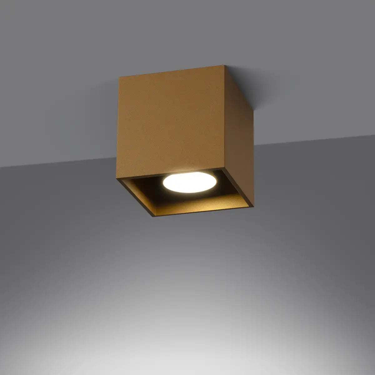 QUAD Ceiling Light