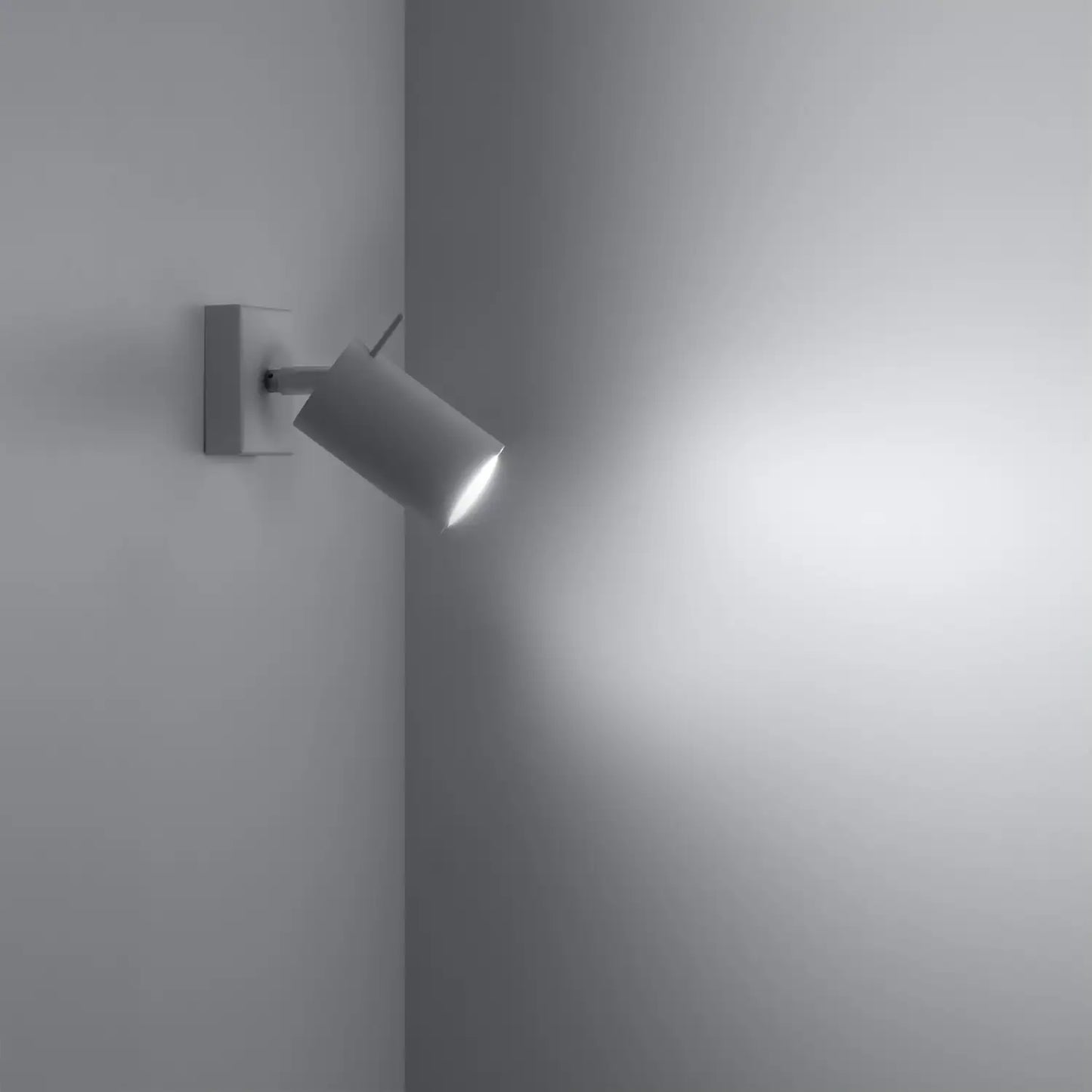 RING Wall Spotlight
